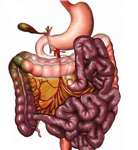 腸息肉者，排便出現(xiàn)3個(gè)異常，十有八九息肉已變成“癌”